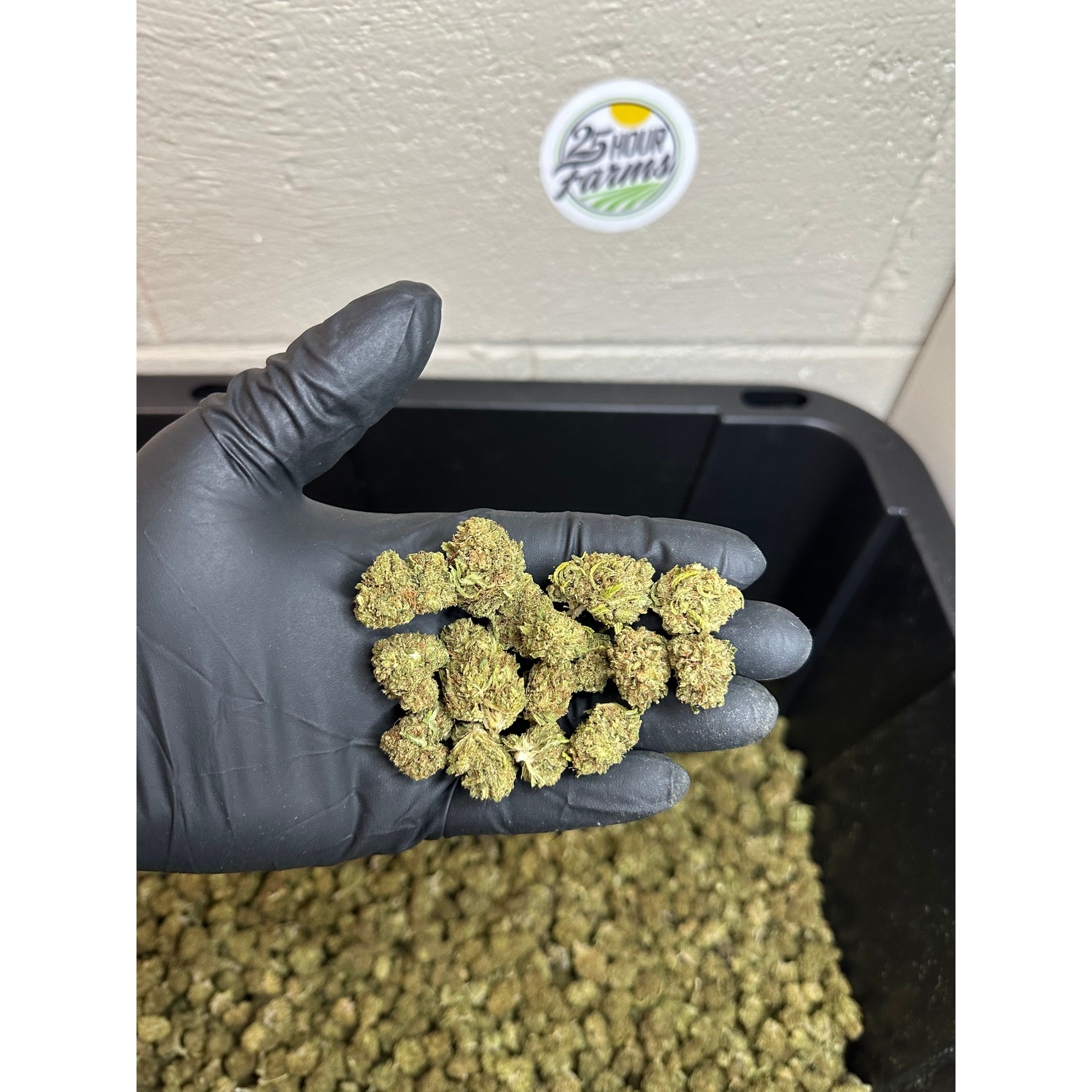 Bubba 59 Hemp Flower Smalls